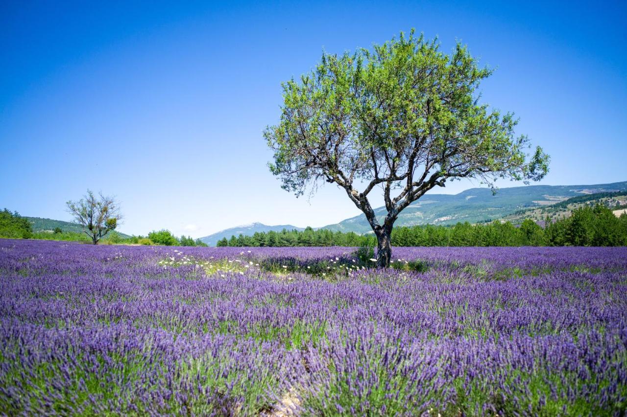 Le Claux Du Puits By Ateya Vacances Saint-Trinit Екстер'єр фото